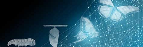 Data Analytics Software: How to Build Scalable Solutions