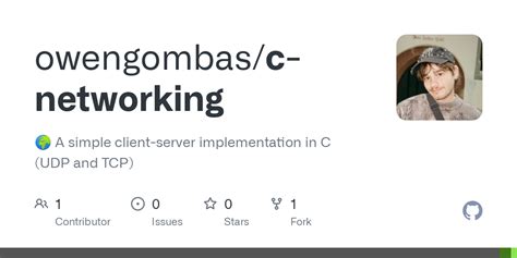 Networking in C Programming 的图像结果