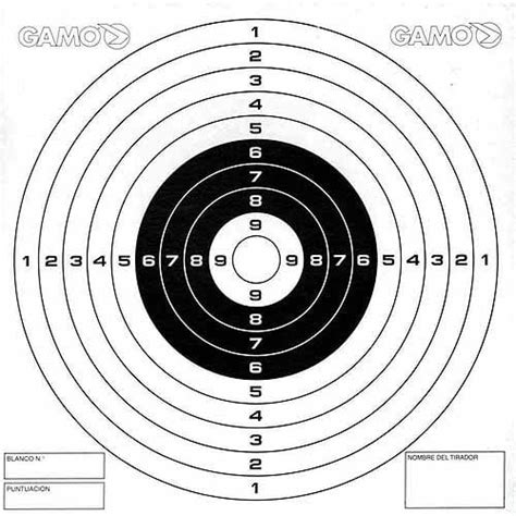 Buy Gamo Paper Targets for Use with Pellet Traps for Pellet Air Guns ...