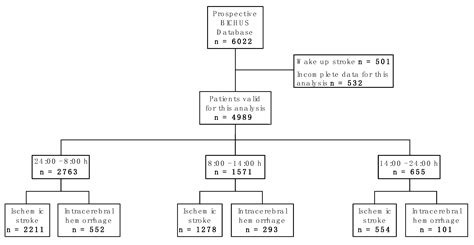 Influence of Temperature Chronobiology on Stroke Outcome
