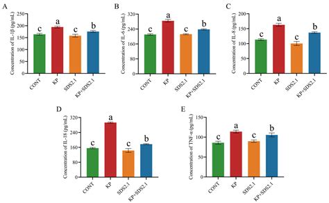 Anti-Inflammatory Effects of Weissella cibaria SDS2.1 Against ...