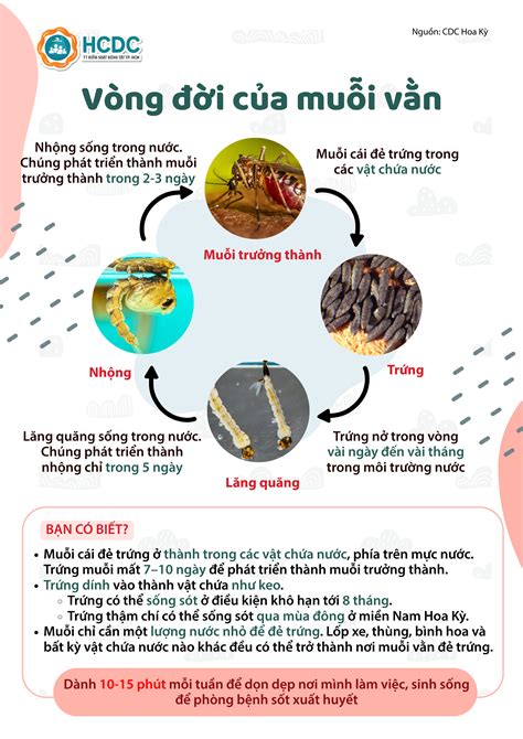 AMBIL SEKARANG
