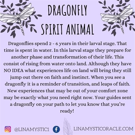 Dragonfly spirit animal spiritual meaning – Artofit