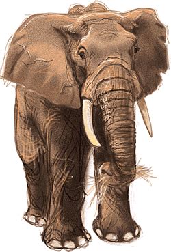 Image result for Hamming Diatnace Modulo Method