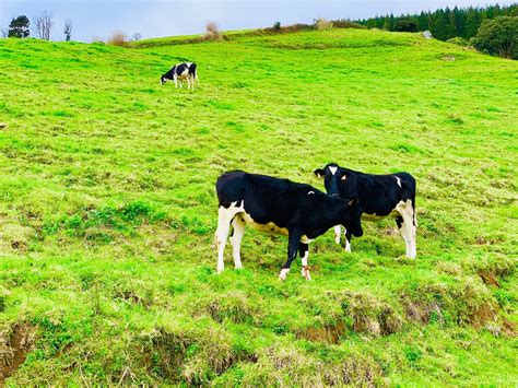 THE BEST Places to Visit in Agua Retorta (2025)