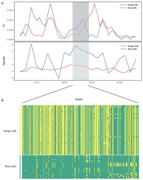 Inference of Genetic Diversity, Population Structure, and Selection ...