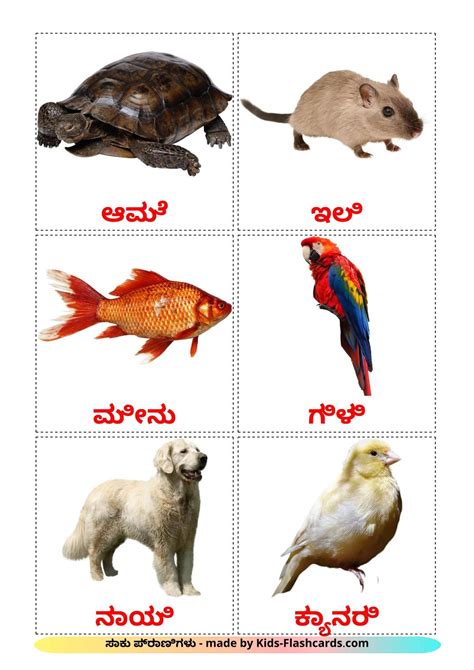 11 Printable Domestic animals Flashcards in Kannada (Free PDF)