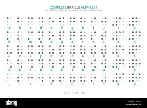 complete Braille alphabet poster with latin letters, numbers ...