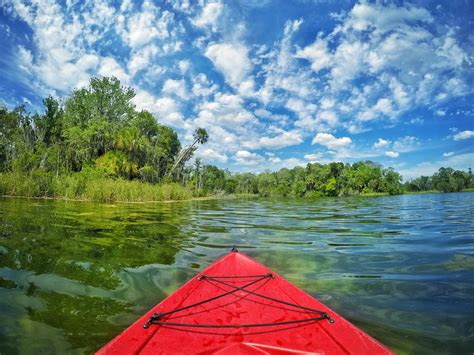 Crystal River Florida Kayaking - Clearwater Beach Blog