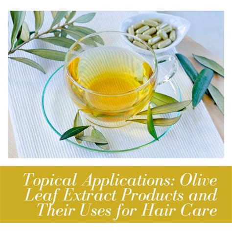 Olive Leaf Extracts for Holistic Hair Wellness | Clinikally