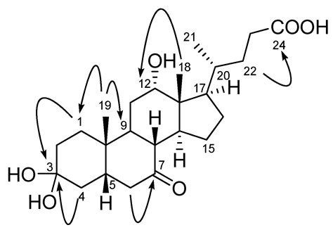 Two New Cholic Acid Derivatives from the Marine Ascidian-Associated ...