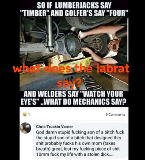 in a similar vein, what does the labrat say? : r/labrats