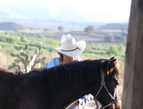 West Point Hats | Compra en línea Texanas y Sombreros vaqueros
