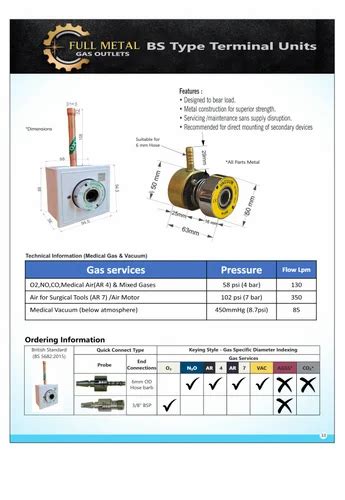Medical Gas Outlets - BS Type (Metal) Gas Outlet Point with Probe ...