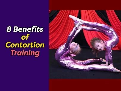Image result for Small Box Contortion