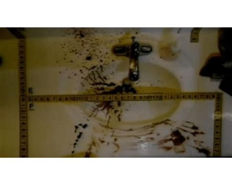 Jodi Arias' Crime Scene Photos: The Disturbing Murder Of Travis Alexander