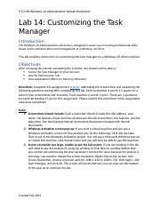 3.3.12 Lab Windows Task Manager 的图像结果