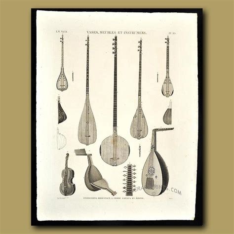 Image result for Antique Stringed Instruments