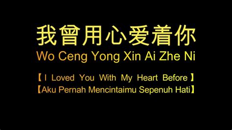 Wo Ceng Yong Xin Ai Zhe Ni 我曾用心爱着你【Aku Pernah Mencintaimu Sepenuh Hati】lirik dan terjemahan