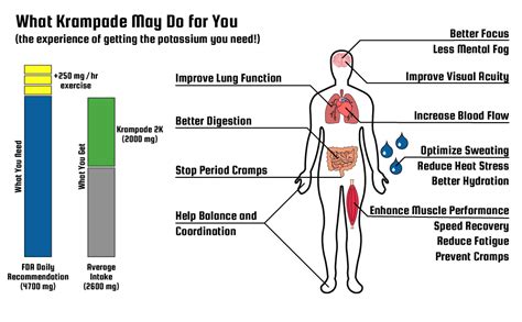 Buy Krampade Fiber 2K Reduced Sugar - High Soluble Fiber, High ...
