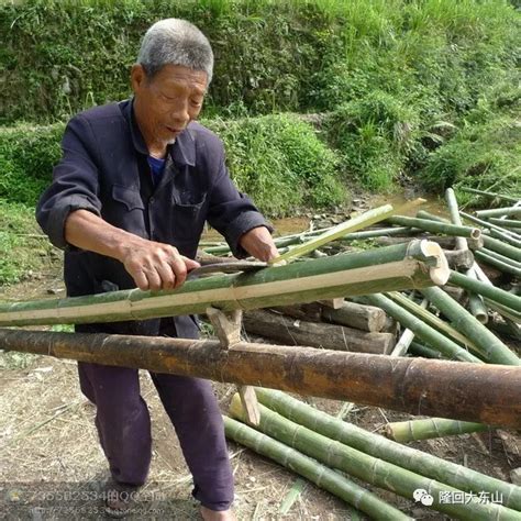 小伙上山砍竹子，自带“砍竹神器”，一刀一根也是厉害！【小闯的乡野生活】 - YouTube