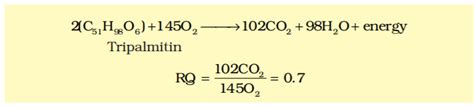In the given equation below, identify the compound which is being ...