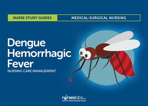 Dengue Hemorrhagic Fever Nursing Care Management and Study Guide
