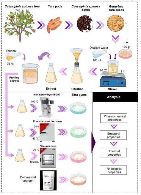Preliminary Assessment of Tara Gum as a Wall Material: Physicochemical ...
