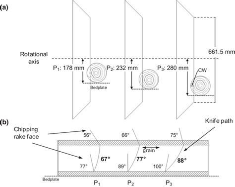 Image result for Infeed Long Log Strander