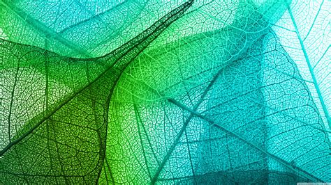 Transparent Computer Wallpapers - Top Free Transparent Computer ...