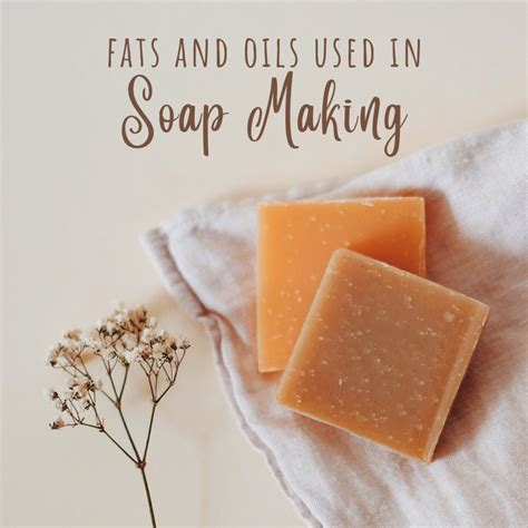 The Roles of Different Fats and Oils in Soap Making - HubPages