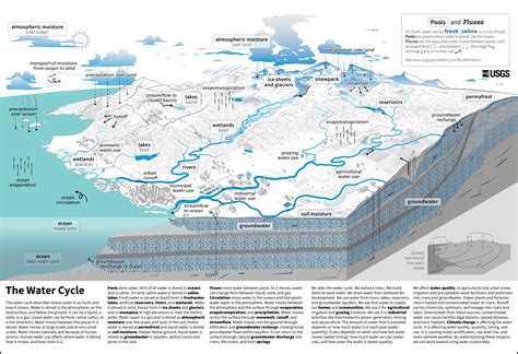 Updated USGS Hydrologic Cycle Diagram – C. Mei-Ling HAMILTON – Environmental Geochemistry Issues