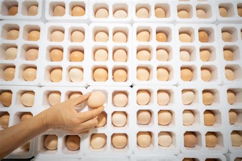 鸡蛋配送管理系统