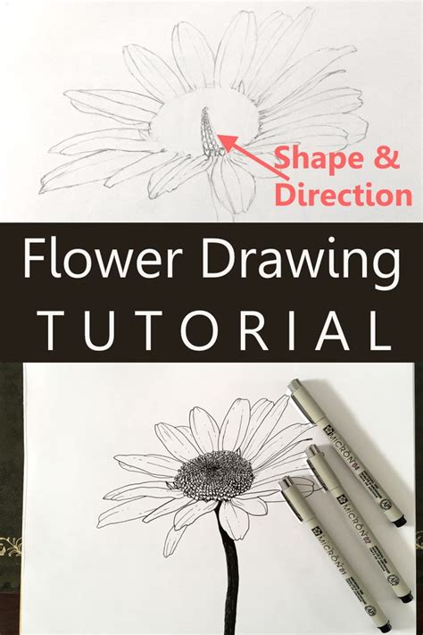 How to Draw Flowers | Flower drawing, Flower drawing tutorials, Learn ...
