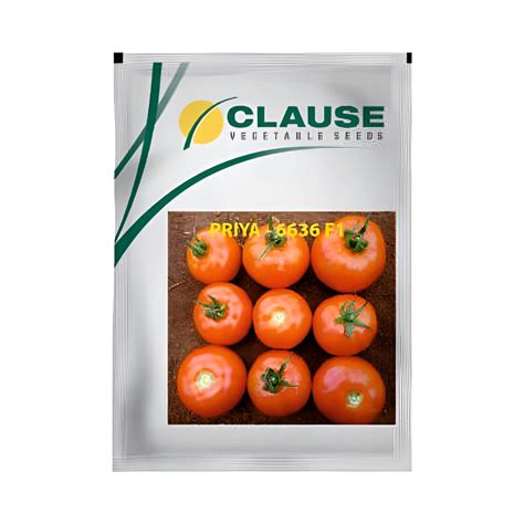 Priya-6636 Tomato Seeds - HM Clause | F1 Hybrid | Buy Online Now ...