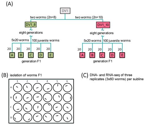 Mining Differentially Expressed Genes in the Marine Free-Living ...