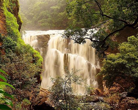 THE 10 BEST Places to Visit in Yellapur (2025) - Must-See Attractions