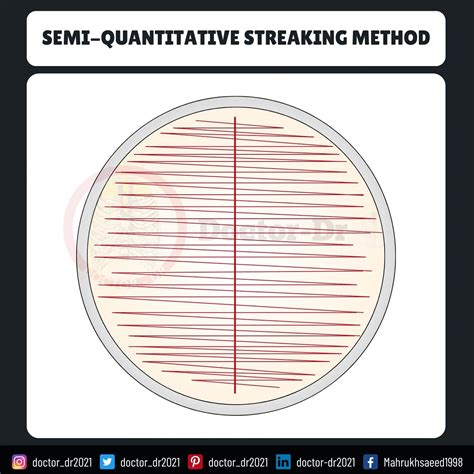 Semi-Quantitative Streak Method | Complete guide, Streak, Petri dish