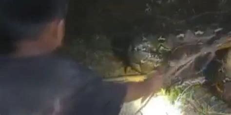 Cool Python Catching 的图像结果