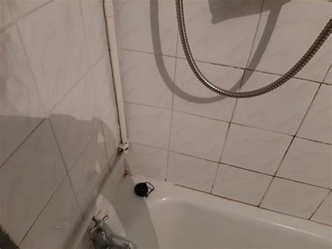 JOLLY ANGLERS INN (Kendal, Lake District) - Inn Reviews & Photos ...