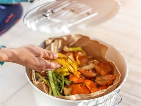 Image result for kitchen waste compost process