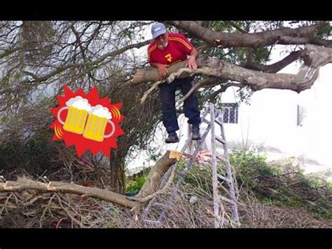 Logging Tree Fails Compilation 的图像结果