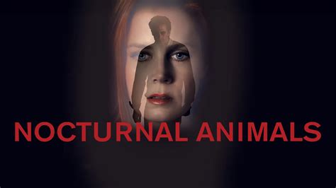 Nocturnal Animals 2016 Full Movie Online - Watch HD Movies on Airtel ...