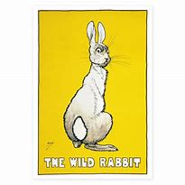 Image result for Rabbit Art Prints