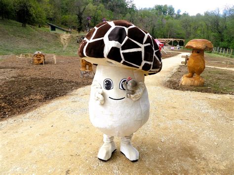 En images. Découvrez La Forêt des Champos, le nouveau parc à thème de ...