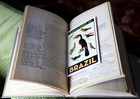 Ship Of Theseus S 本