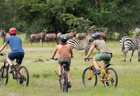 IREMBO AFRICA SAFARIS LTD (2026) All You Need to Know BEFORE You Go ...