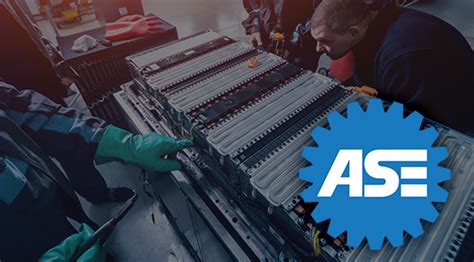 ASE Training 的图像结果