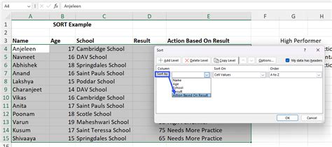 Excel Sort Function 的图像结果
