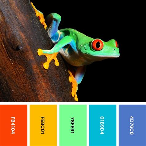 Nature Color 的图像结果